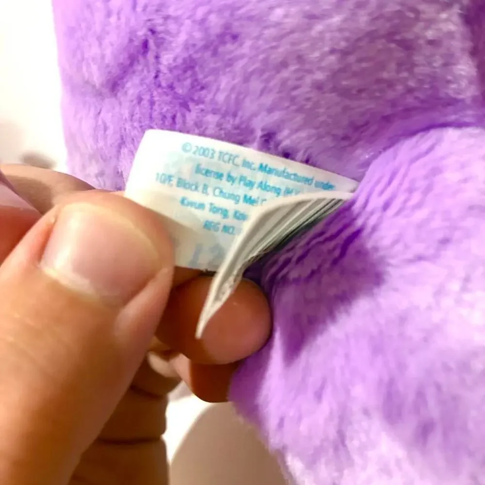 Vintage 2003 Care Bears 12